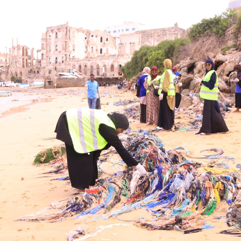 People taking part in a coastal clean-up, photographed by SIADO.